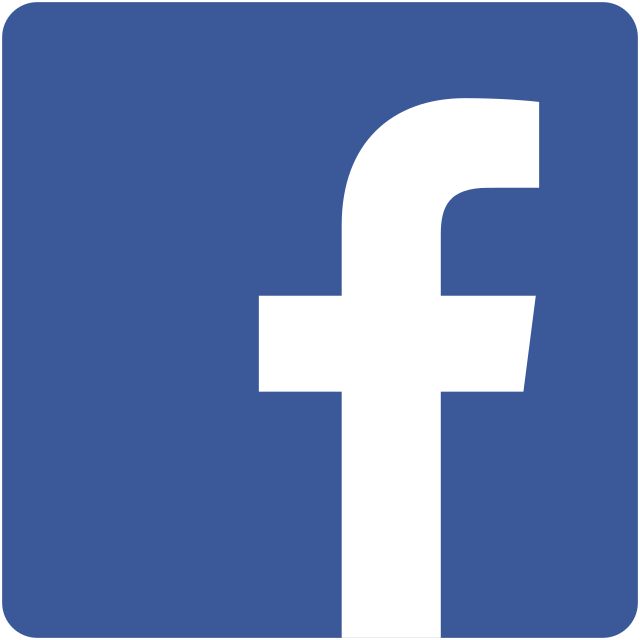 Facebook icon 2013